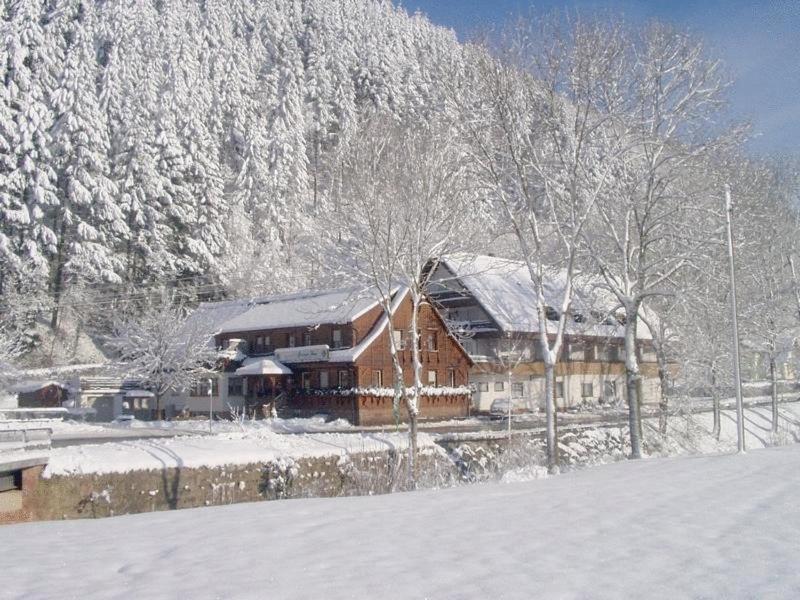 Gruener Hof Hotel Zell am Harmersbach Exterior foto