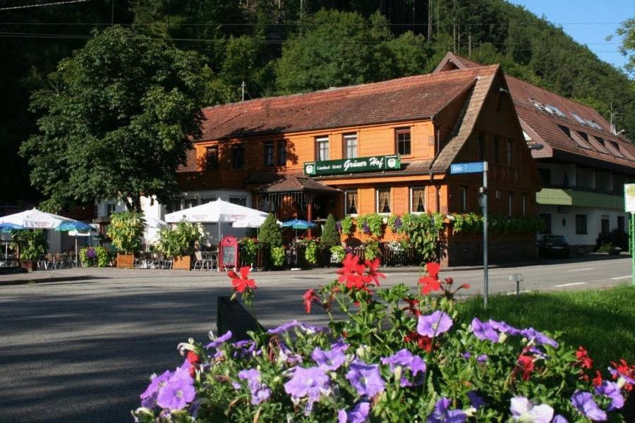 Gruener Hof Hotel Zell am Harmersbach Exterior foto